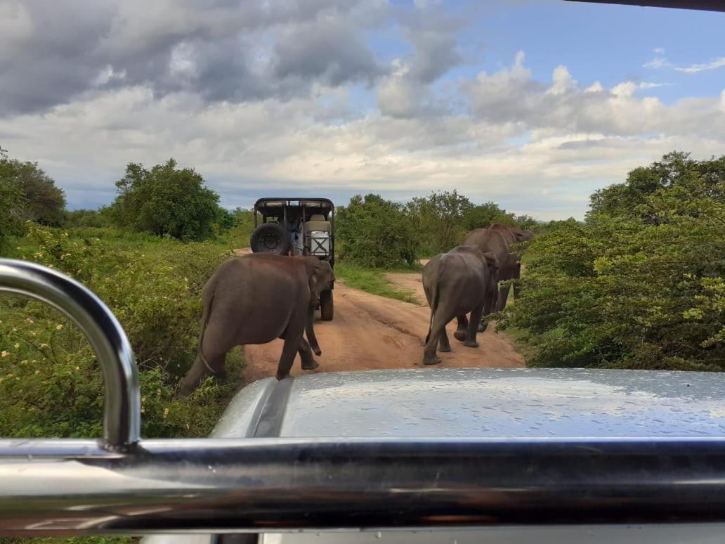 Elephant Lodge Удавалаве Екстер'єр фото