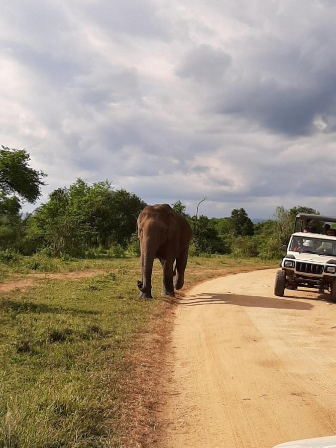 Elephant Lodge Удавалаве Екстер'єр фото